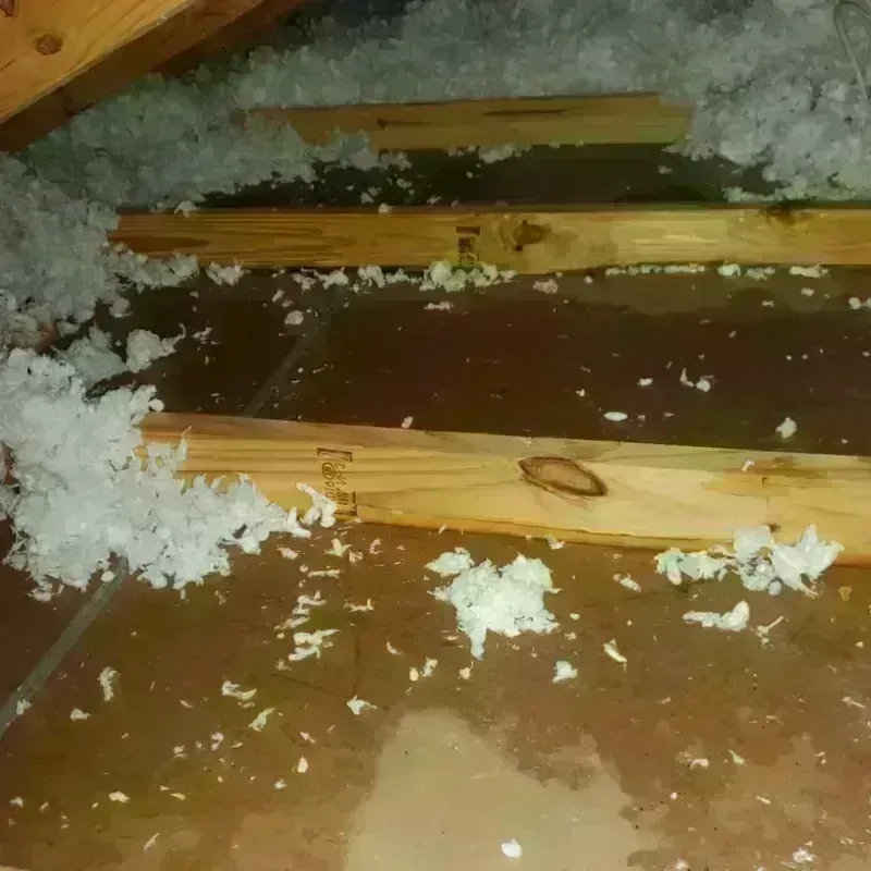 Attic Water Damage in Irving, TX