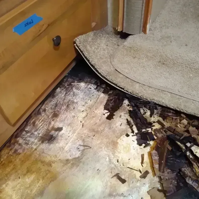 Best Wood Floor Water Damage Service in Irving, TX